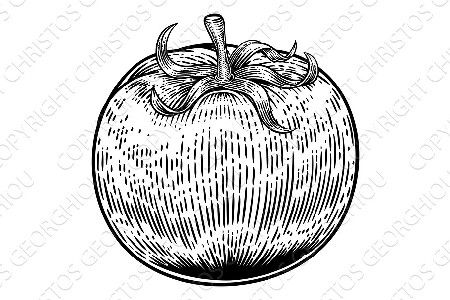 Tomato Vintage Woodcut Illustration in Illustrations - product preview 8