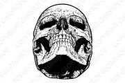 Skull Grim Reaper Vintage Woodcut