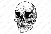 Skull Grim Reaper Vintage Woodcut