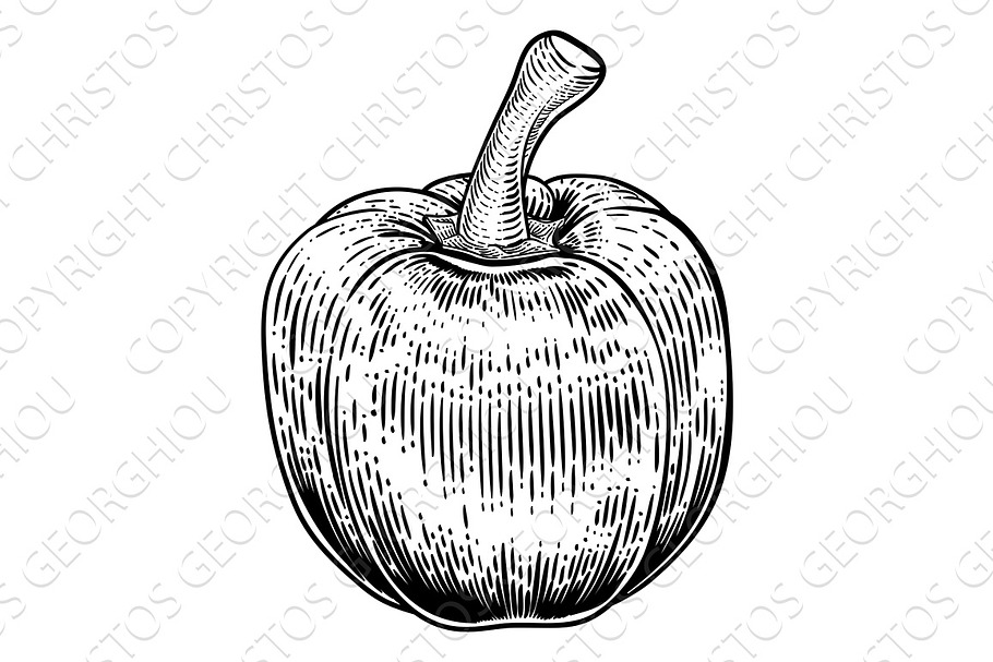 Bell Pepper Woodcut Vegetable Illust in Illustrations - product preview 8