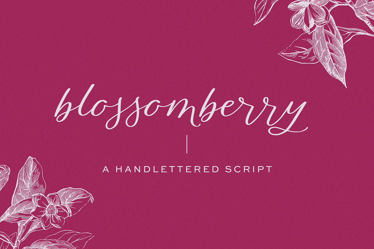Blossomberry Script Font in Script Fonts - product preview 8