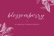 Blossomberry Script Font