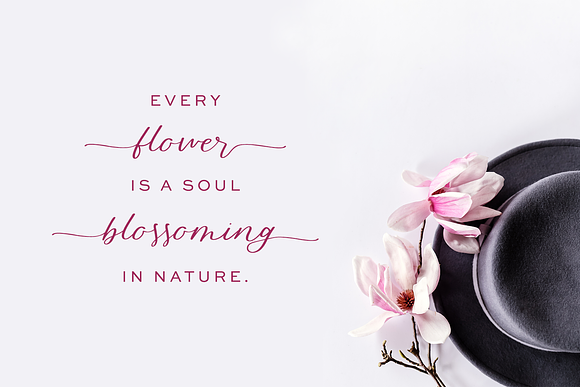 Blossomberry Script Font in Script Fonts - product preview 1