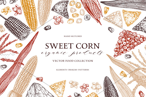 Sweet Corn. Vector Food Collection