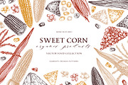 Sweet Corn. Vector Food Collection