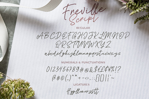 Freville Script in Script Fonts - product preview 9
