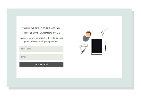 Opt In Landing Page | Divi Template in WordPress Landing Page Themes - product preview 3