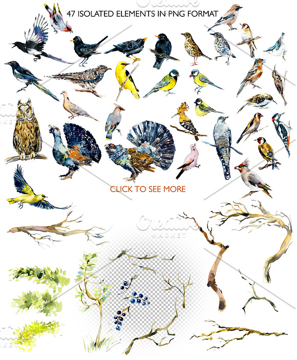 Watercolor forest birds. Frames. in Illustrations - product preview 1
