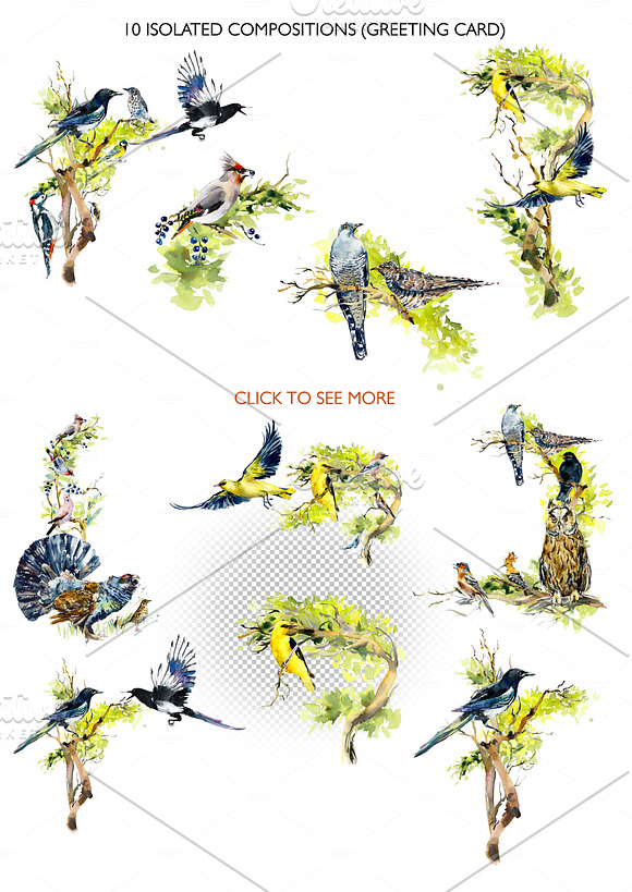 Watercolor forest birds. Frames. in Illustrations - product preview 3