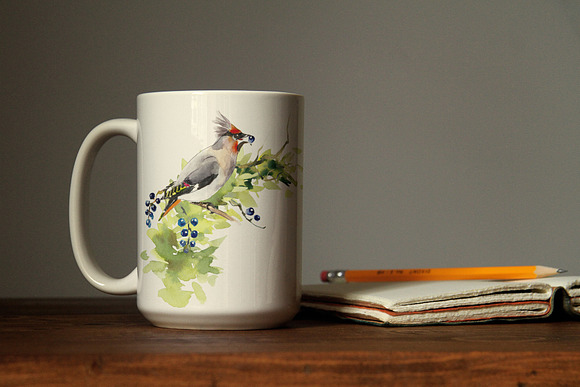 Watercolor forest birds. Frames. in Illustrations - product preview 5