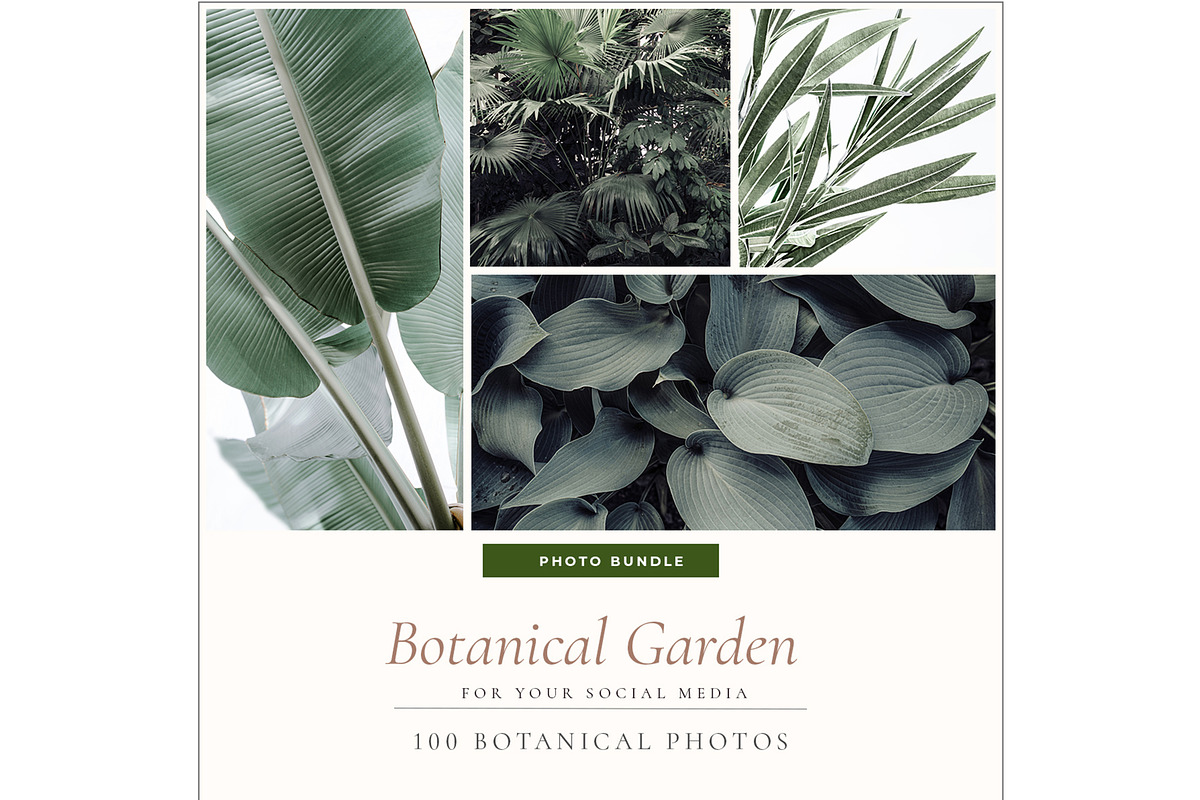 BOTANICAL GARDEN. 100 photos in Instagram Templates - product preview 8
