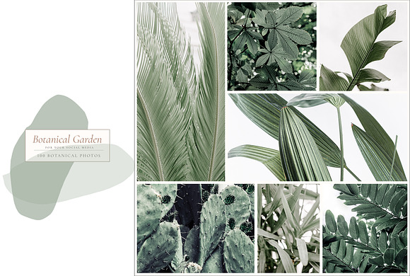 BOTANICAL GARDEN. 100 photos in Instagram Templates - product preview 1