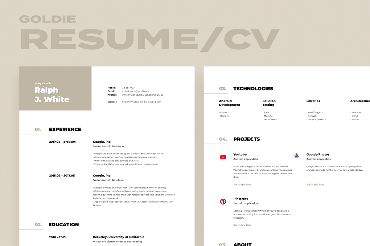 Goldie. Developer Resume in Resume Templates - product preview 8