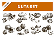 Hand Drawn Sketch Nuts Vector Set