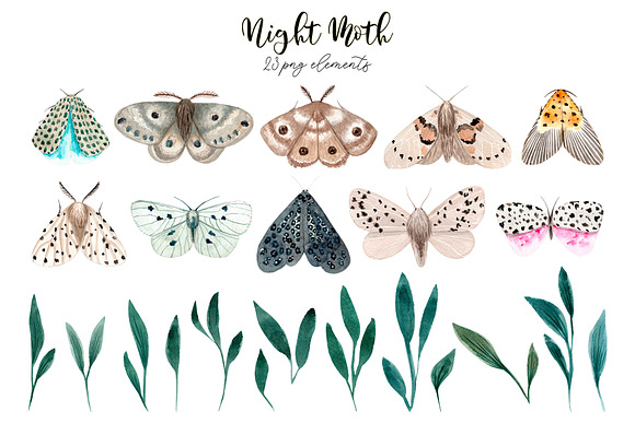 Night Moth. Watercolor Patterns in Objects - product preview 1