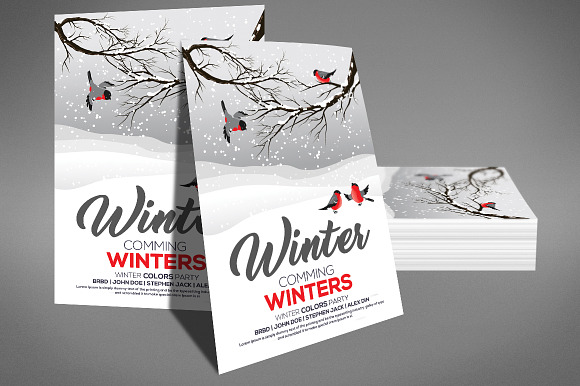 Cold Winter Party Flyer in Flyer Templates - product preview 1