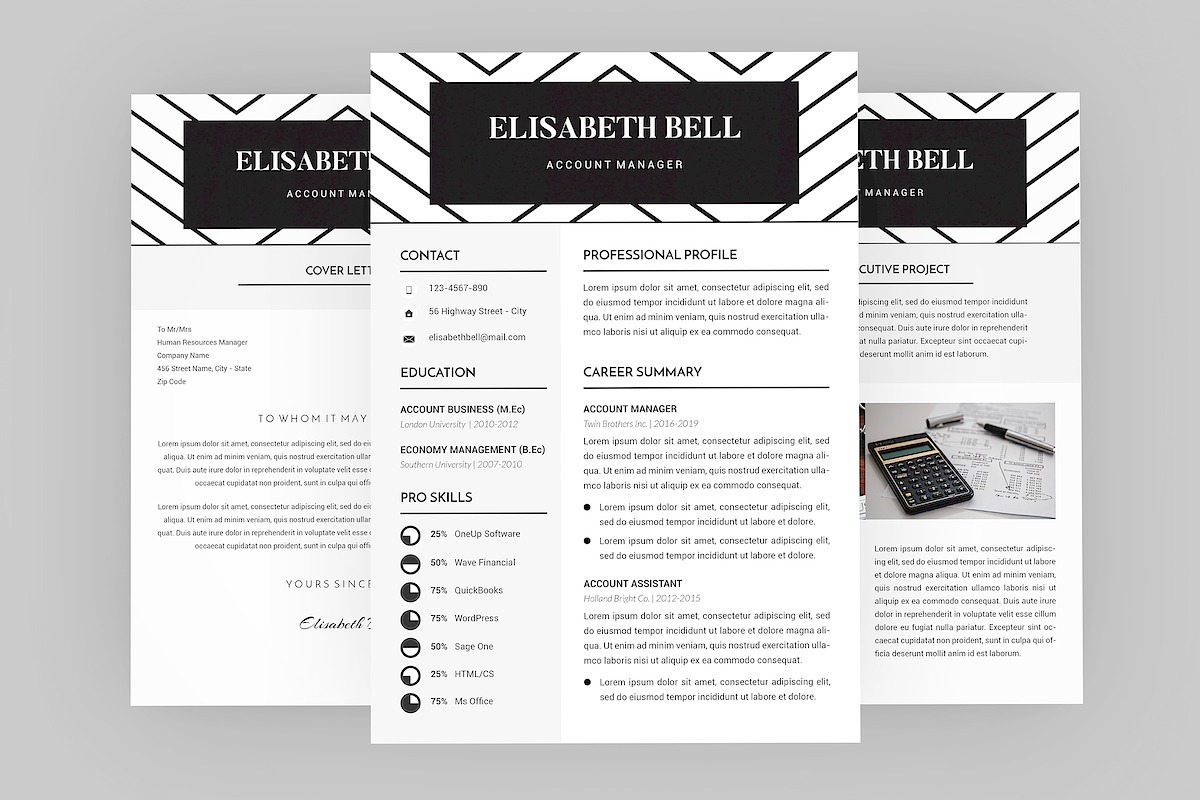 Petition CV Resume Designer in Resume Templates - product preview 8