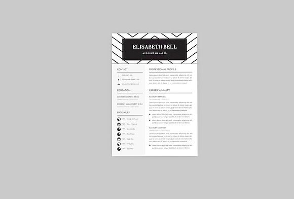 Petition CV Resume Designer in Resume Templates - product preview 2