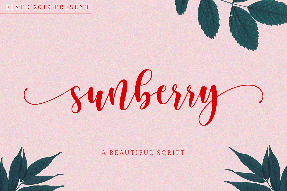 Sunberry | Beautiful Script in Script Fonts - product preview 8