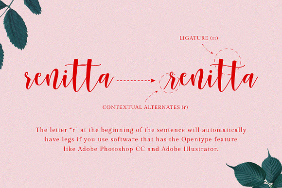 Sunberry | Beautiful Script in Script Fonts - product preview 2