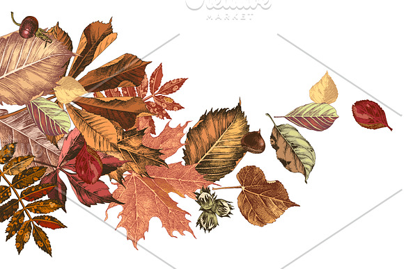 Fall in love - seasonal collection in Illustrations - product preview 4