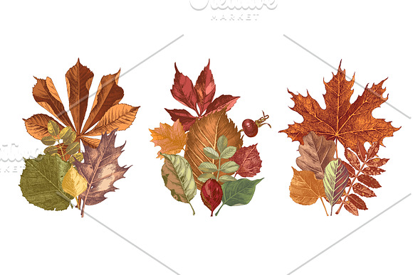 Fall in love - seasonal collection in Illustrations - product preview 9