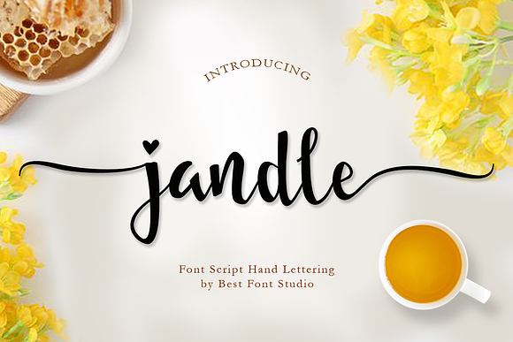 Jundle Script Font in Script Fonts - product preview 6