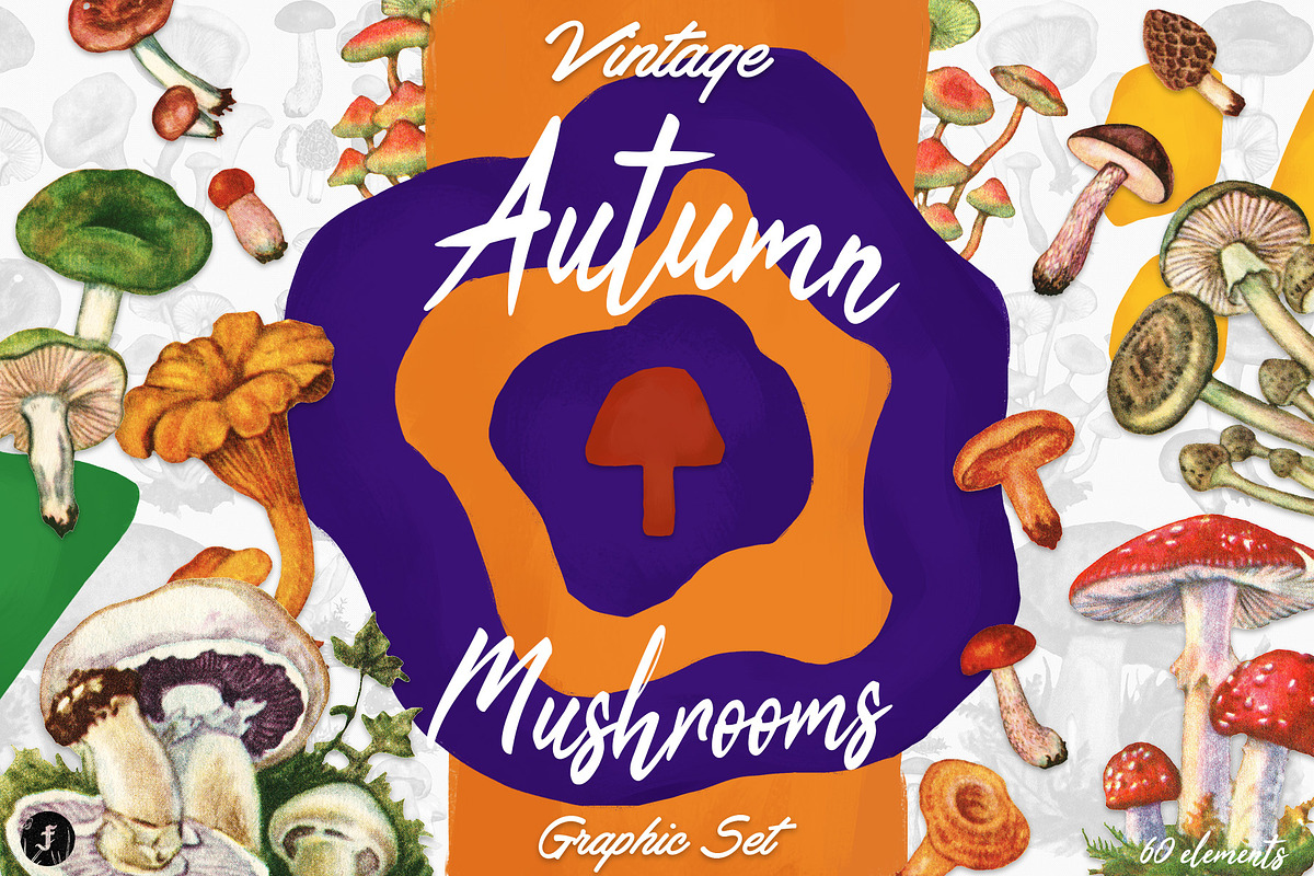 Vintage Autumn Mushrooms in Illustrations - product preview 8