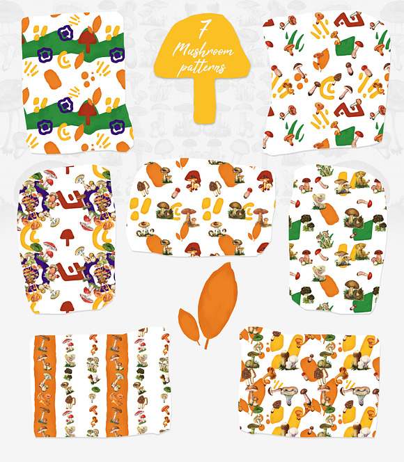 Vintage Autumn Mushrooms in Illustrations - product preview 5