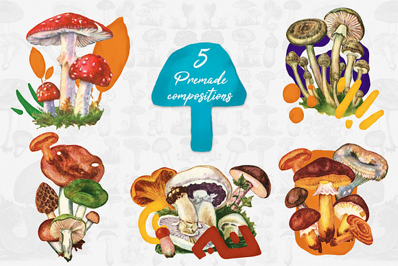 Vintage Autumn Mushrooms in Illustrations - product preview 6