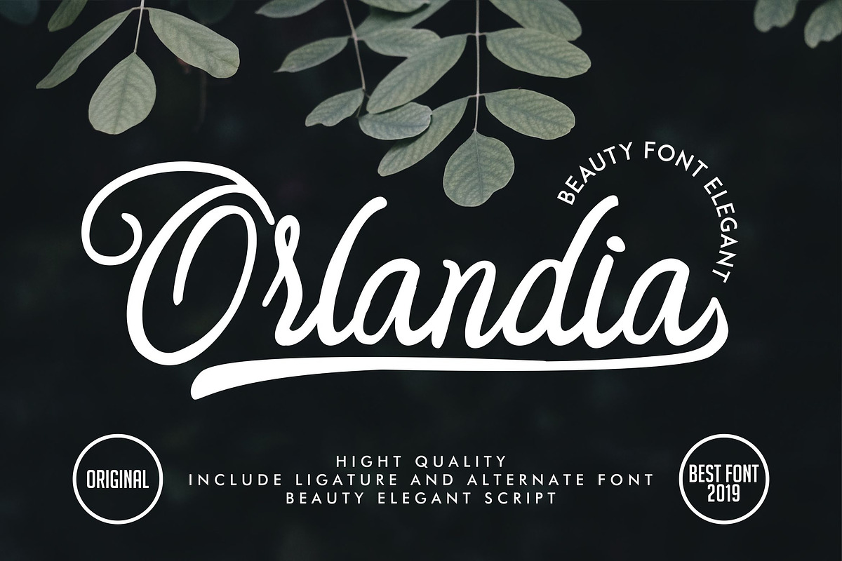 Orlandia | Beauty Font Elegant in Script Fonts - product preview 8