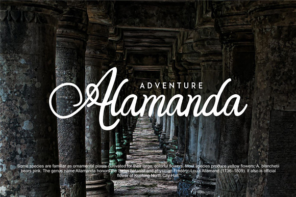 Orlandia | Beauty Font Elegant in Script Fonts - product preview 4