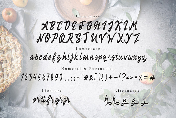 Rekyoto | Delicious Script Font in Script Fonts - product preview 3