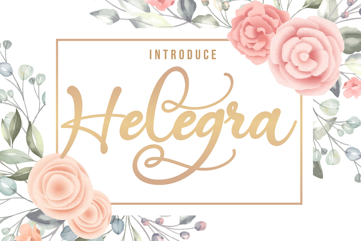 Helegra | Beauty Font Script in Script Fonts - product preview 8