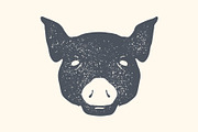 Pig. Vintage retro print, poster