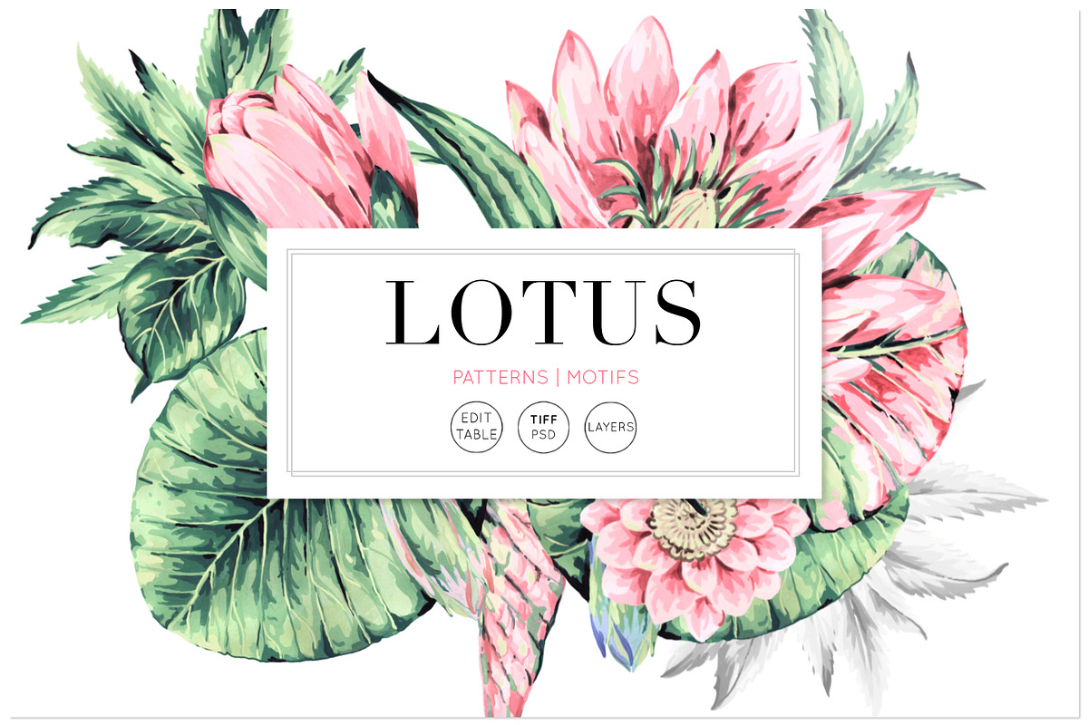 Lotus, Hand-Painted Pattern Set! in Patterns - product preview 8