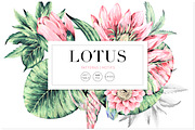 Lotus, Hand-Painted Pattern Set!
