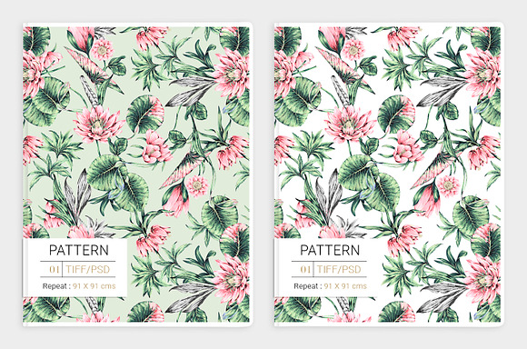 Lotus, Hand-Painted Pattern Set! in Patterns - product preview 3