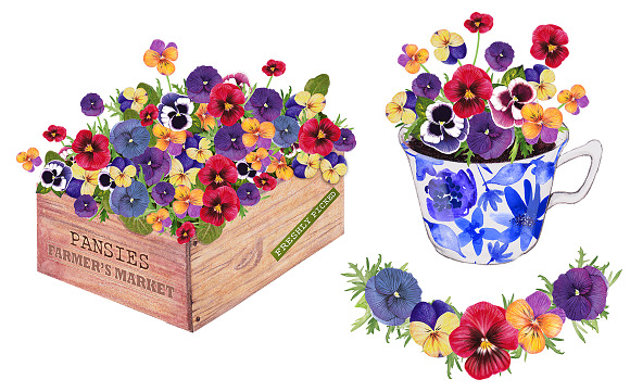 Pansy Perfect in Illustrations - product preview 1