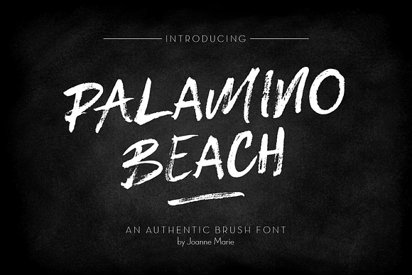 Palamino Beach Brush Font in Display Fonts - product preview 1