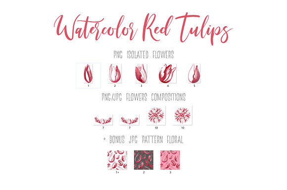 Watercolor Red Tulips for you design in Illustrations - product preview 1