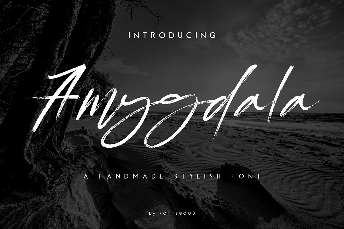 Amygdala in Script Fonts - product preview 8