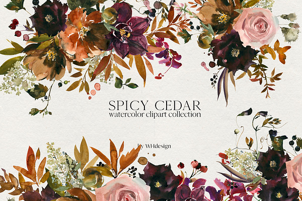 Spicy Cedar Watercolor Fall Clipart