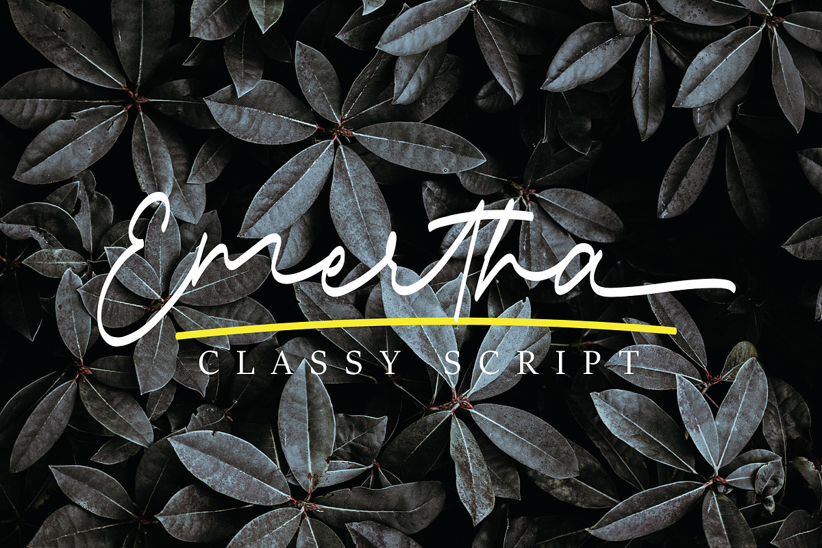 Emertha Classy Script in Script Fonts - product preview 8