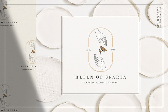 Aphrodite Branding Logos in Logo Templates - product preview 18