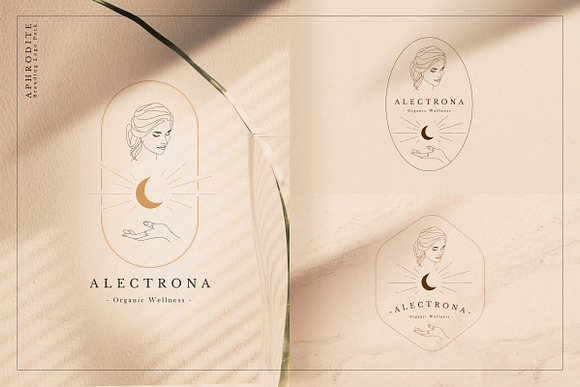Aphrodite Branding Logos in Logo Templates - product preview 22