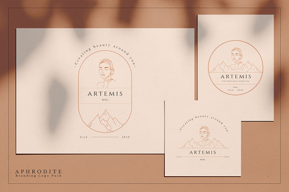 Aphrodite Branding Logos in Logo Templates - product preview 27