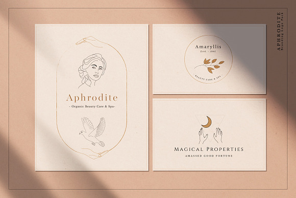 Aphrodite Branding Logos in Logo Templates - product preview 31