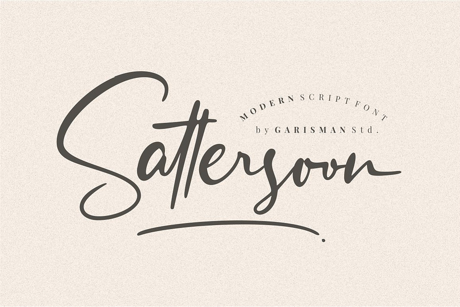 Sattersoon - Modern Script Font in Script Fonts - product preview 8