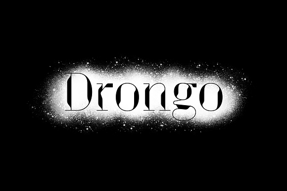 Drongo Font in Serif Fonts - product preview 11